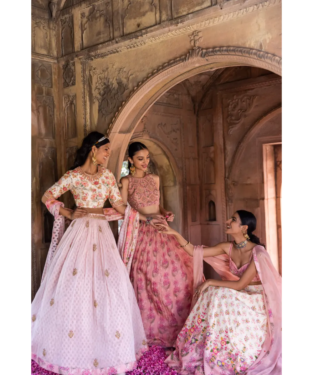 LABEL ANUSHREE- Skirt Set